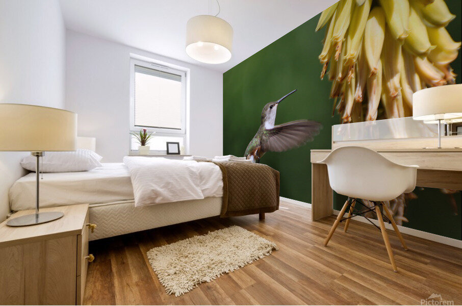 Humming Bird Mural print