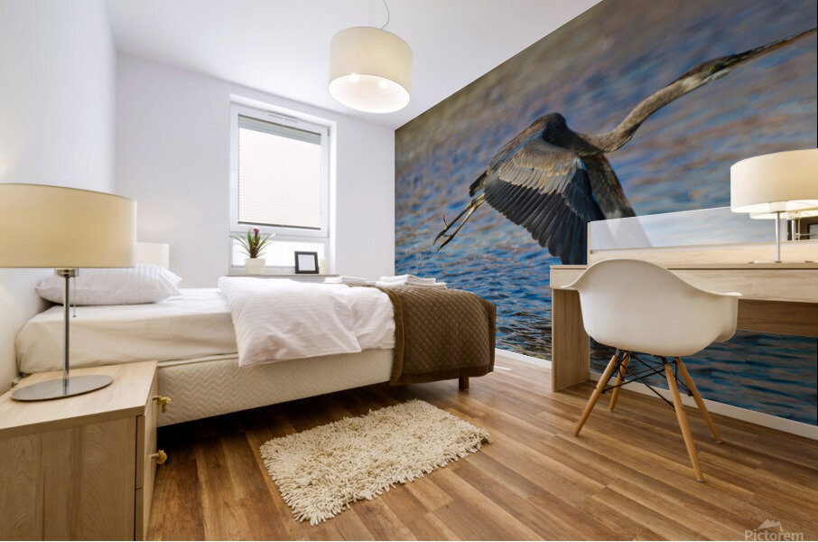 Blue Crane  Mural print