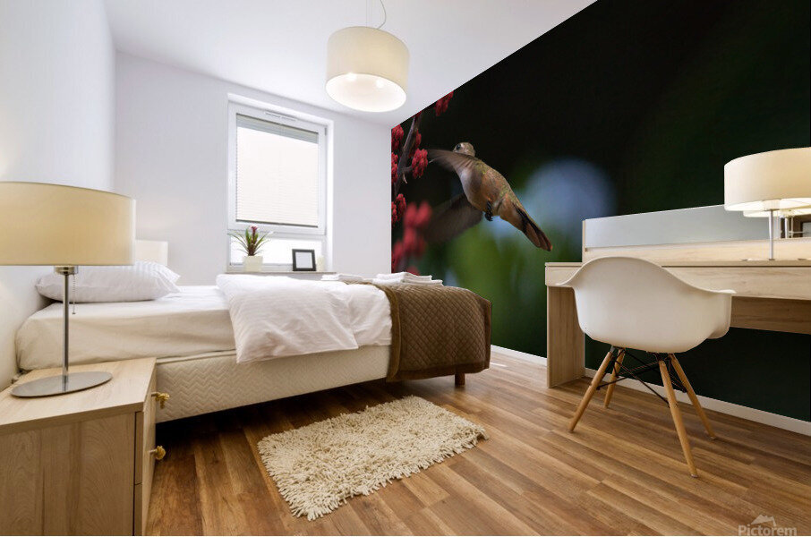 Humming Bird Mural print