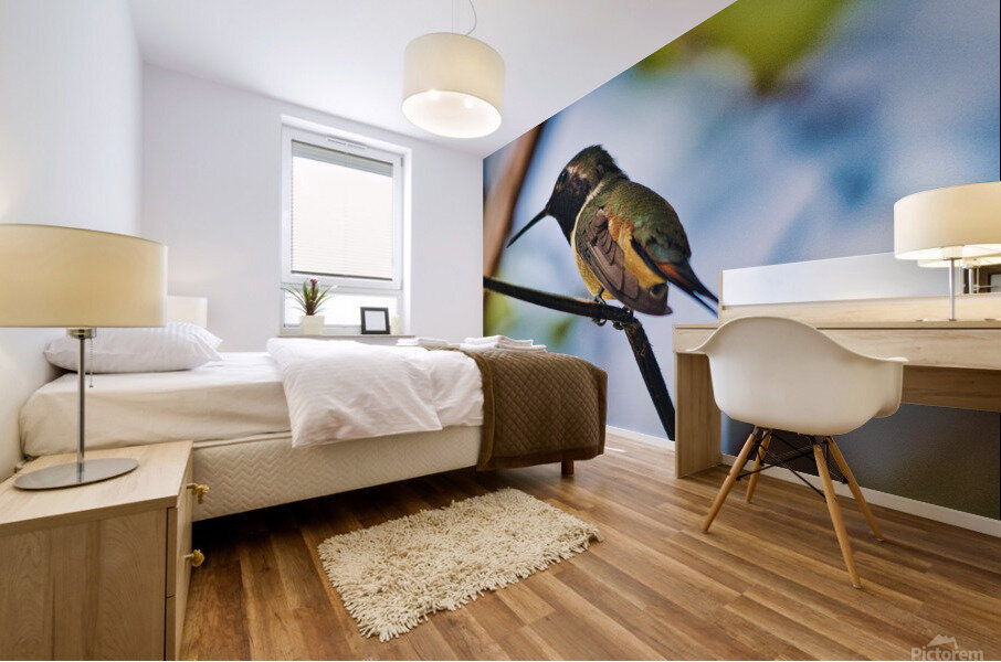 Humming Bird  Mural print