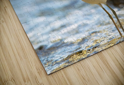 Killdeers Montez Kerr puzzle