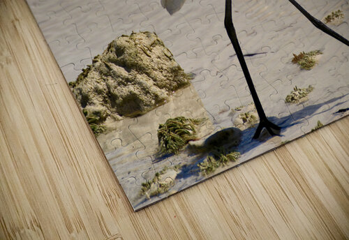   Egret Montez Kerr puzzle