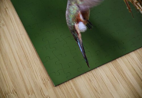 Humming Bird Montez Kerr puzzle
