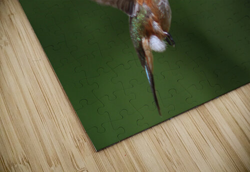  Humming Bird Montez Kerr puzzle