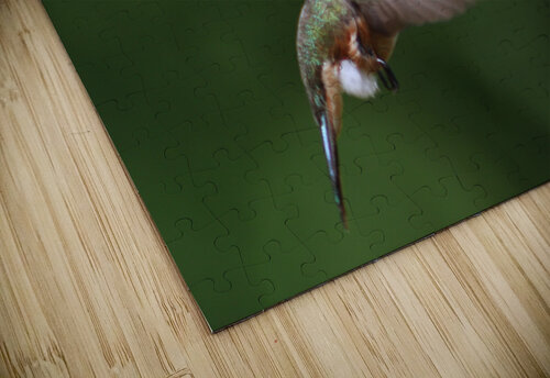 Humming Bird Montez Kerr puzzle