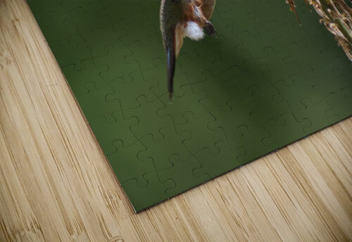 Humming Bird Montez Kerr puzzle