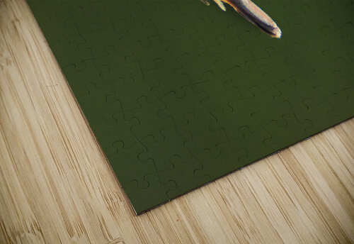 Humming Bird Montez Kerr puzzle