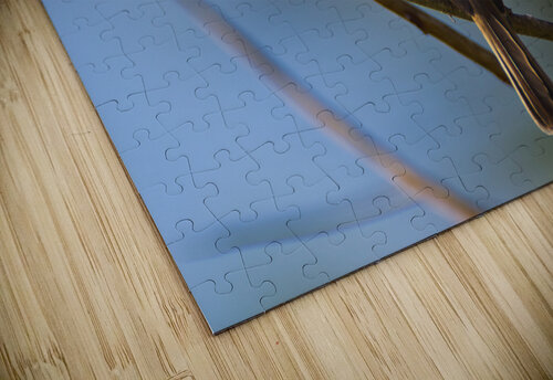 La Sagras flycatcher Montez Kerr puzzle