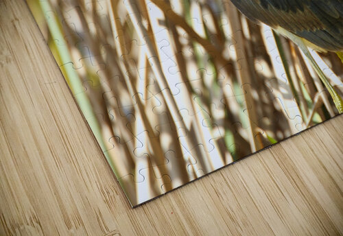 Blue Heron Montez Kerr puzzle