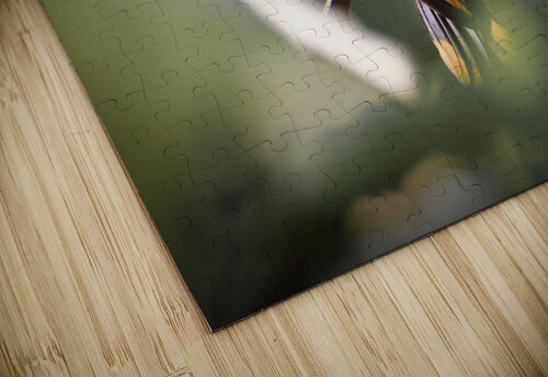Humming Bird Montez Kerr puzzle
