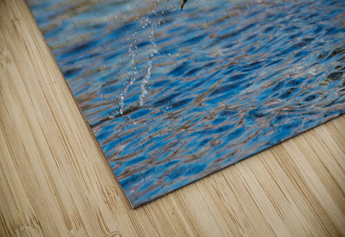 Blue Crane  Montez Kerr puzzle