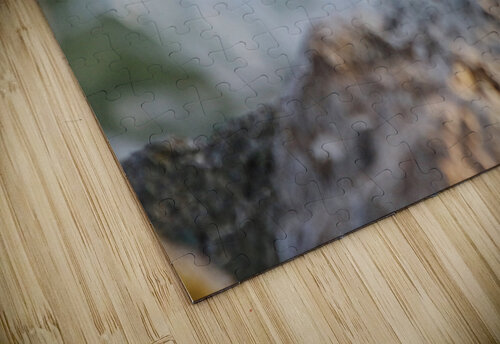 Plover Montez Kerr puzzle