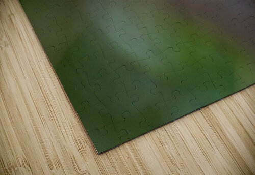 Cuban Grassquit Montez Kerr puzzle