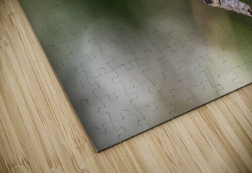 Cuban grassquit Montez Kerr puzzle