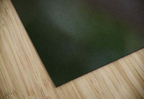 Cuban grassquit Montez Kerr puzzle