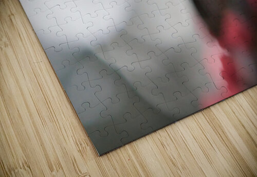 Humming Bird Montez Kerr puzzle