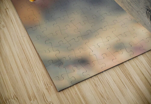 Night Heron Montez Kerr puzzle