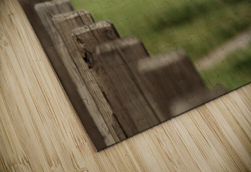 Flying Blue Heron Montez Kerr puzzle