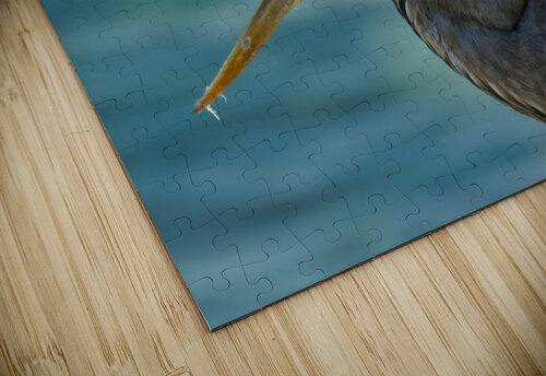Blue Heron Montez Kerr puzzle