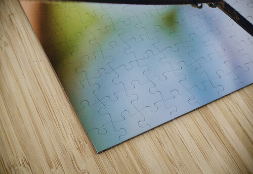 Humming Bird  Montez Kerr puzzle