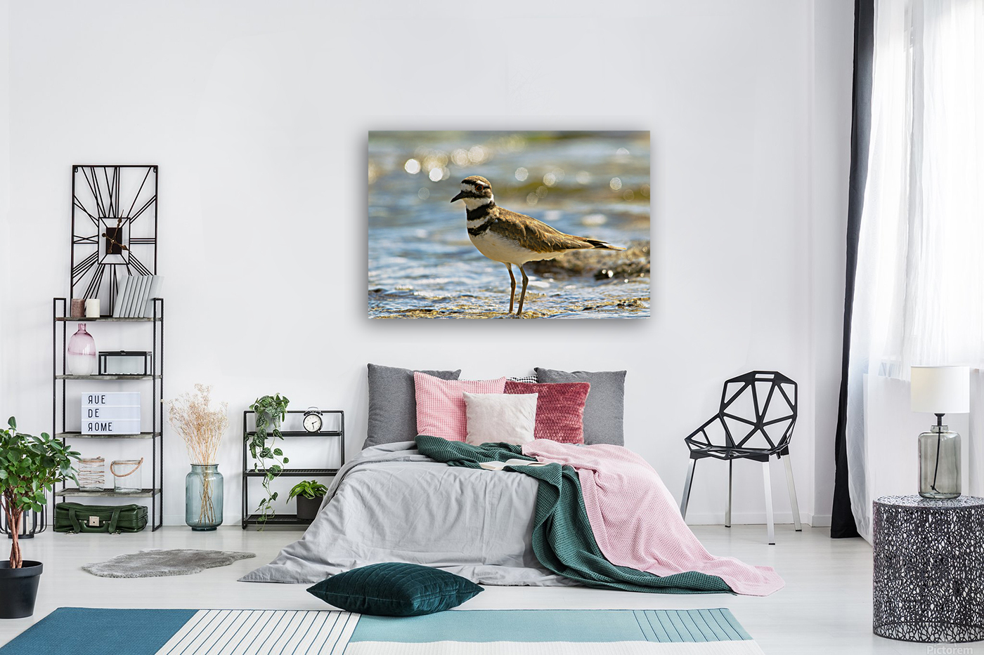 Killdeers Reproduction