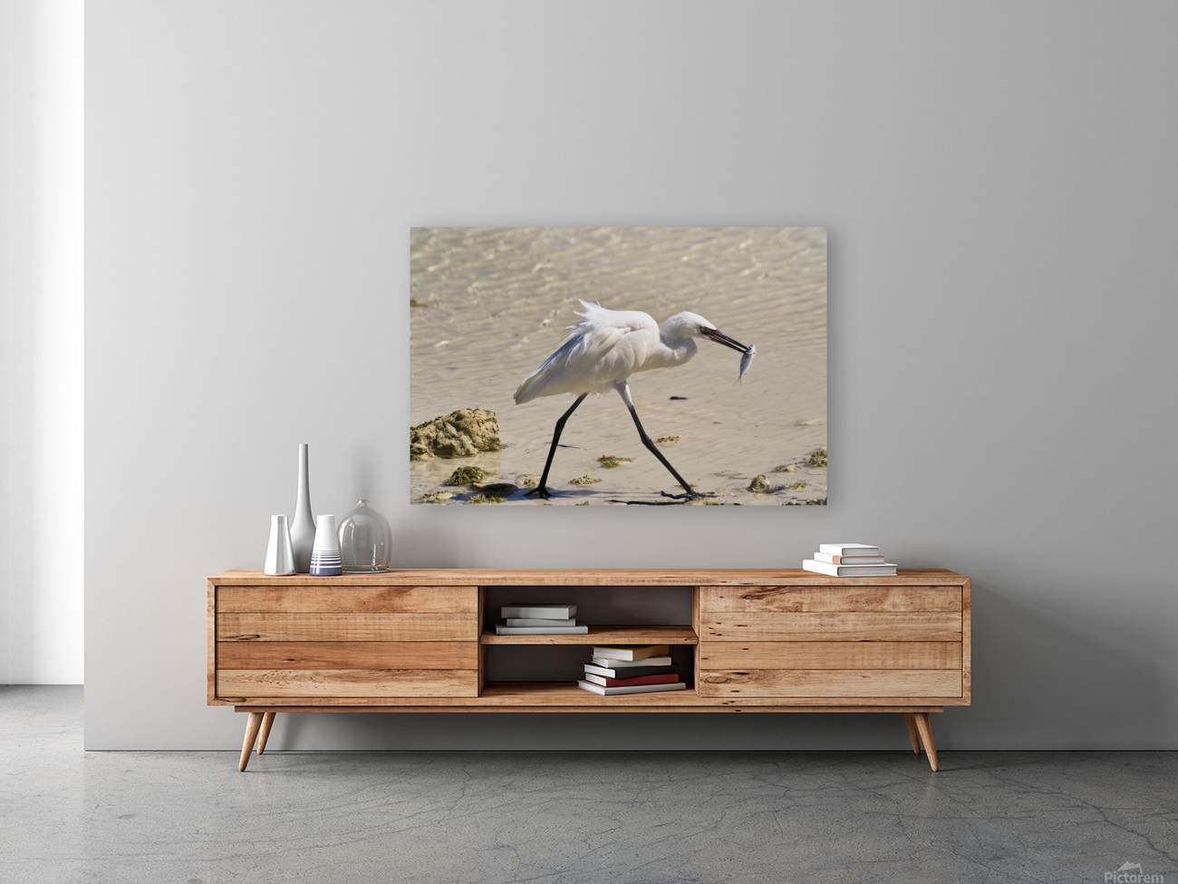   Egret Reproduction