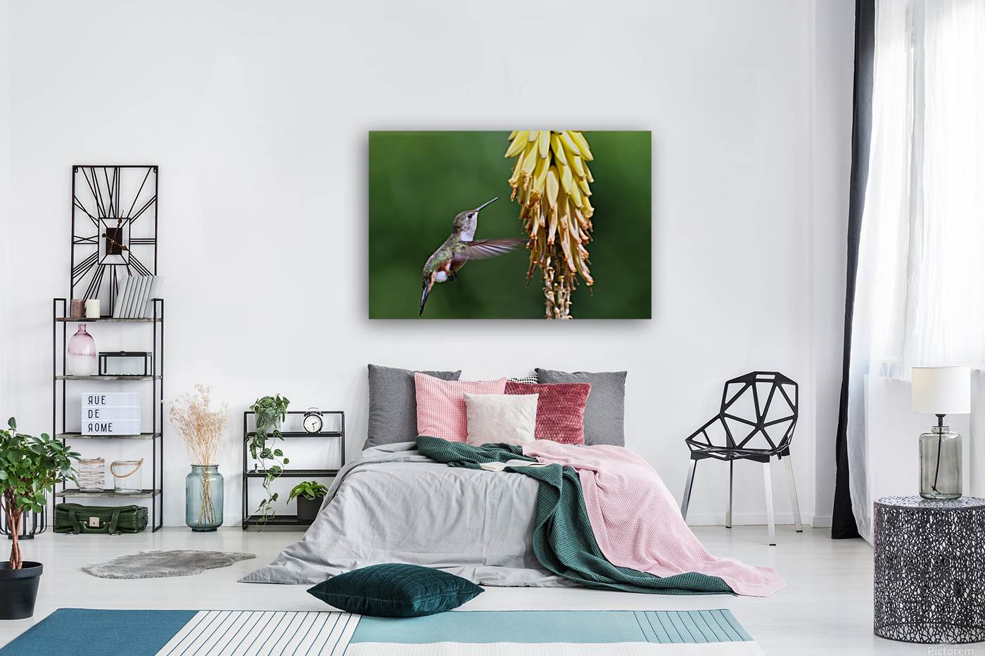 Humming Bird Reproduction