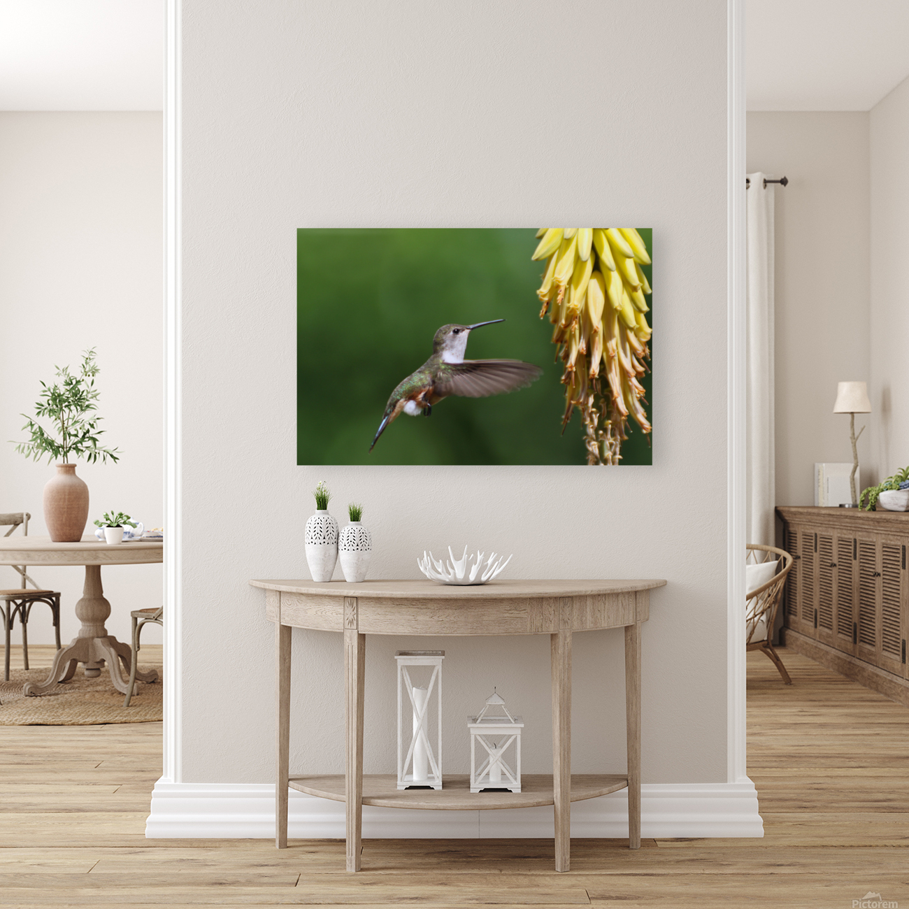 Humming Bird Reproduction