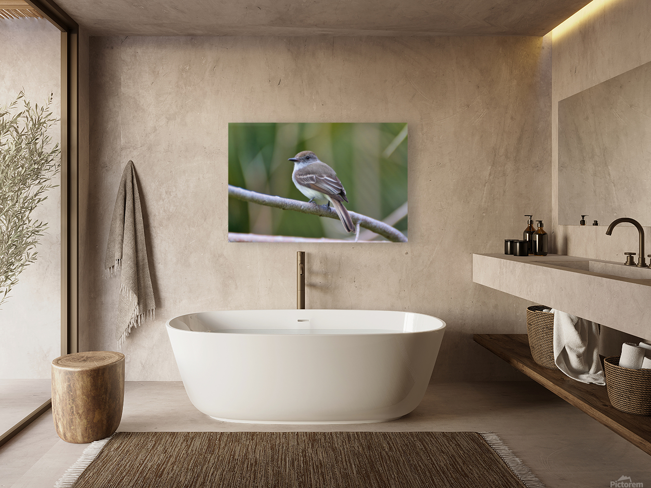 La Sagras flycatcher Reproduction