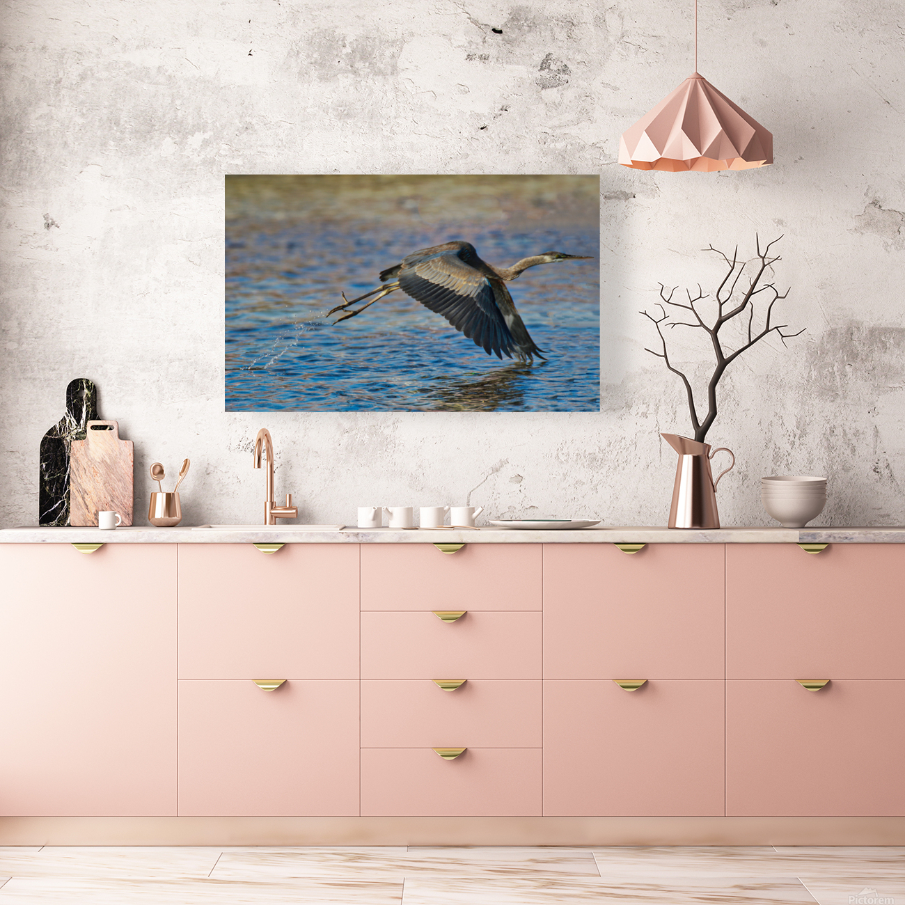 Blue Crane  Reproduction
