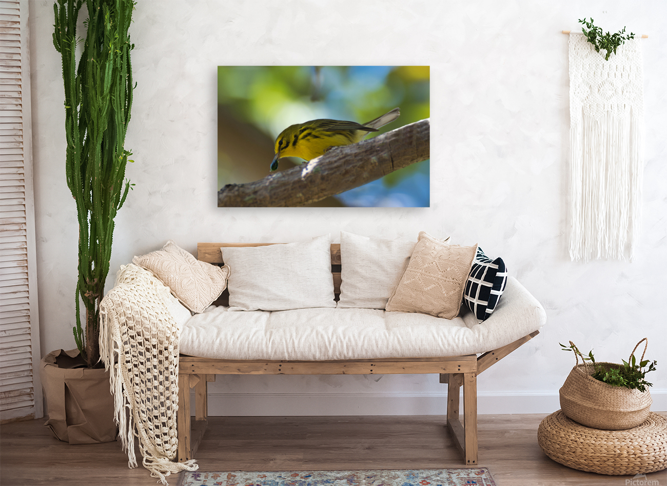 Yellow Warbler  Reproduction