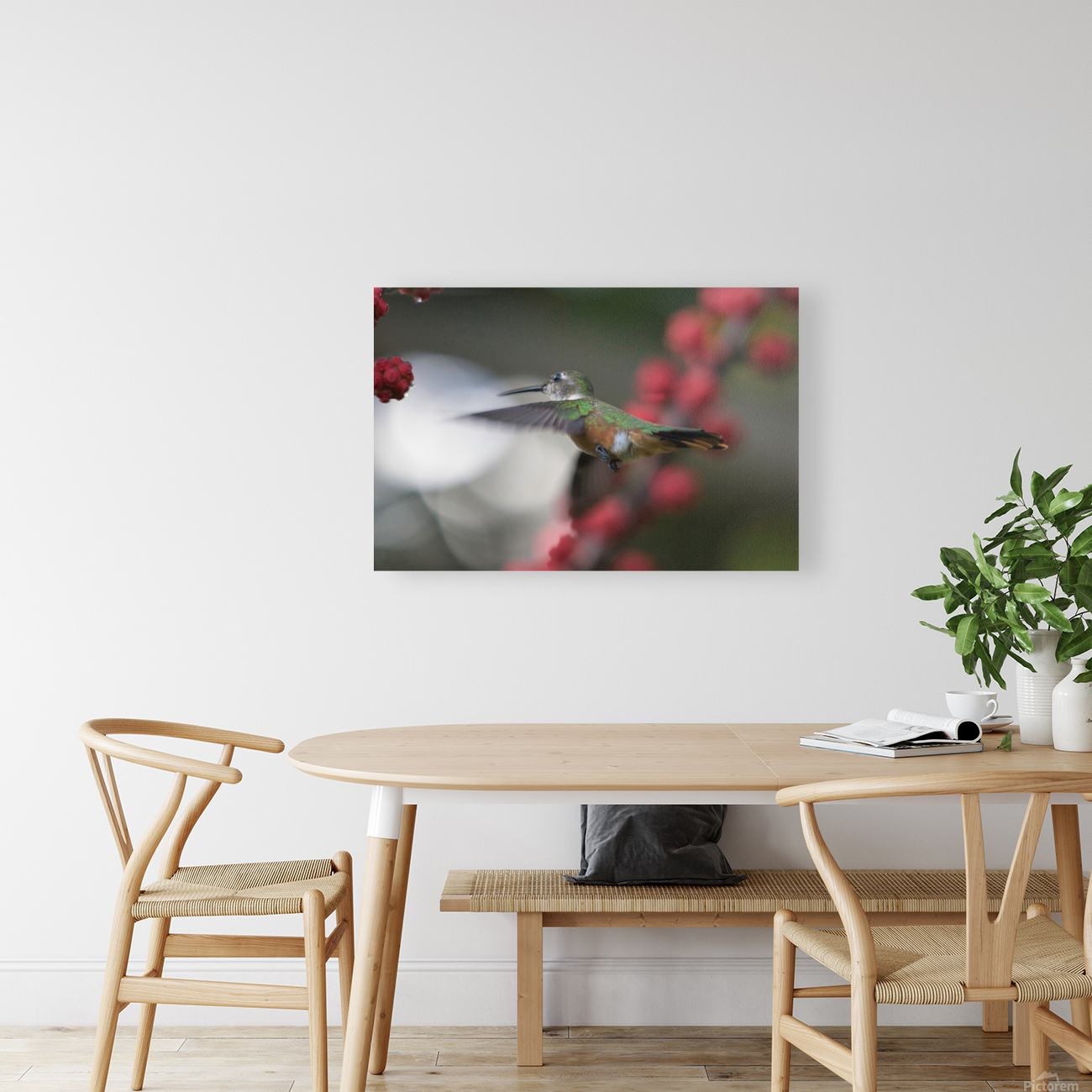 Humming Bird Reproduction