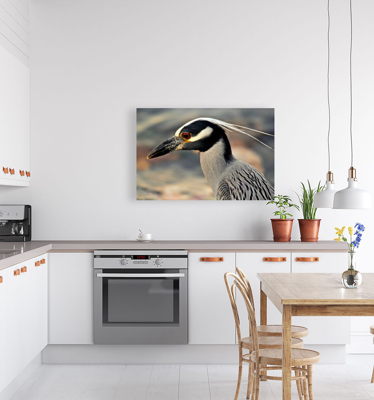 Night Heron Reproduction