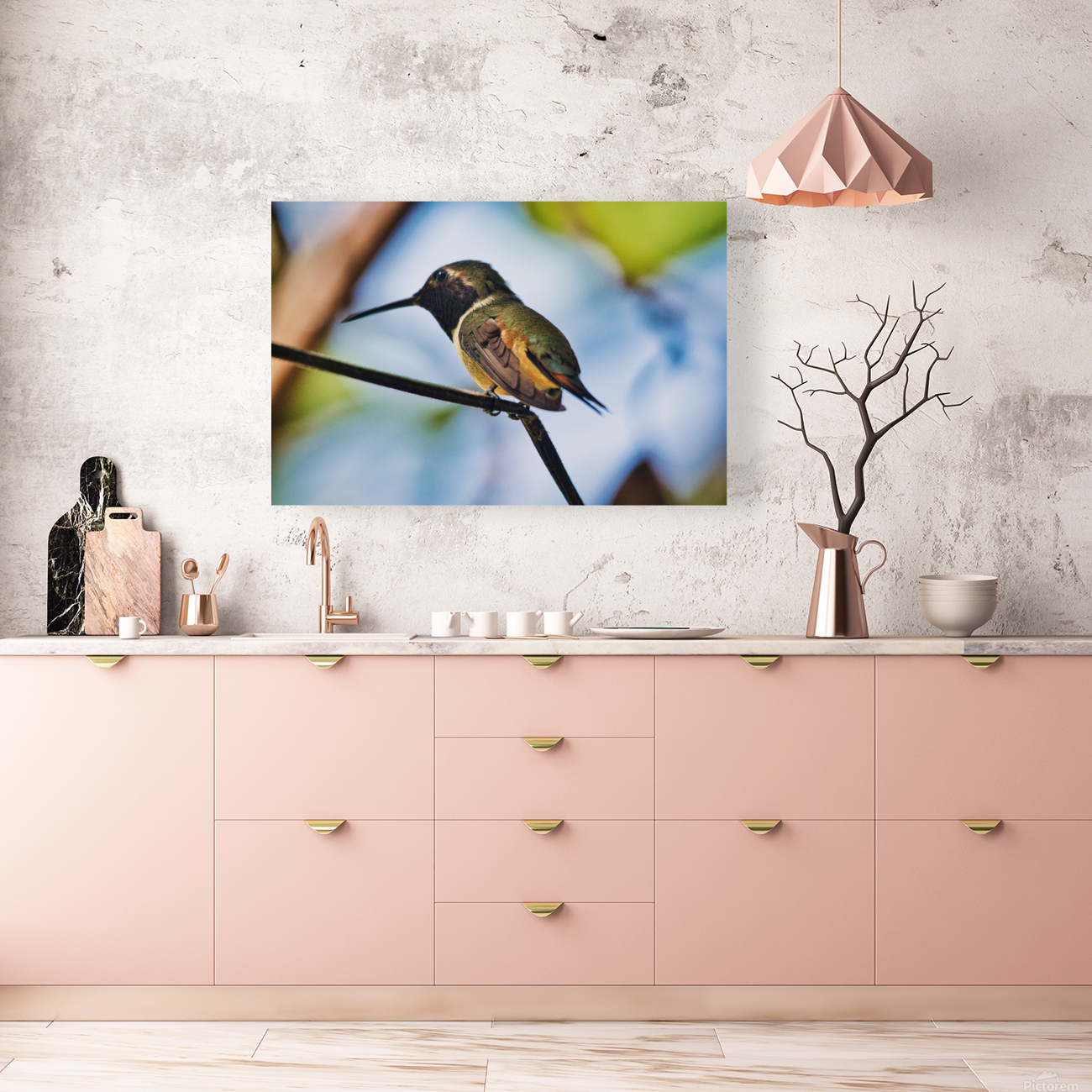 Humming Bird  Reproduction