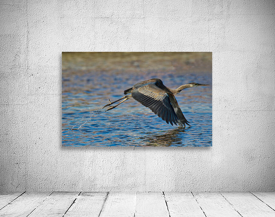 Blue Crane  Wall Preview