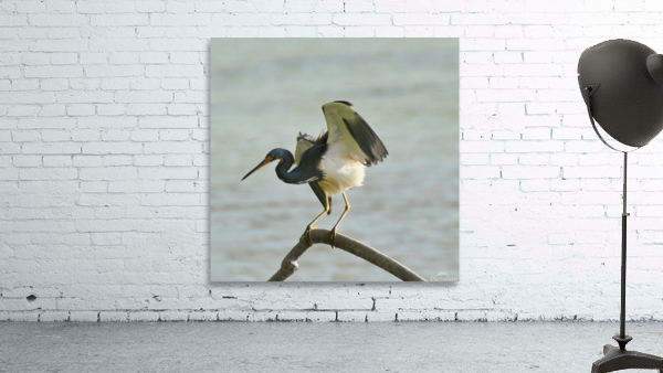 Blue Heron Wall Preview