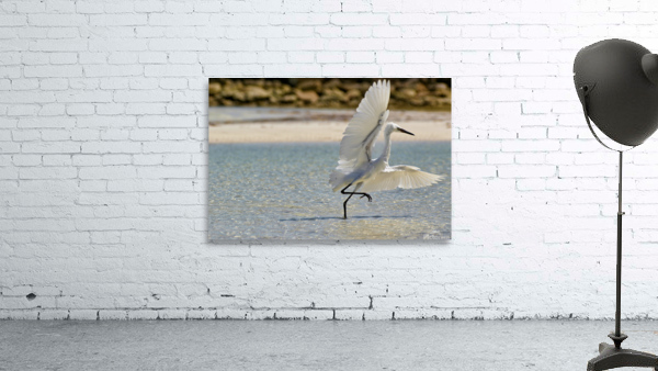 White Egret Wall Preview