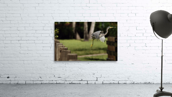 Flying Blue Heron Wall Preview