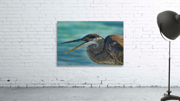 Blue Heron Wall Preview