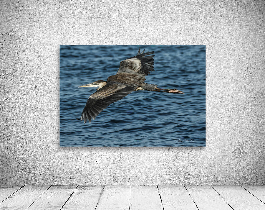 Heron in Flight Wall Preview