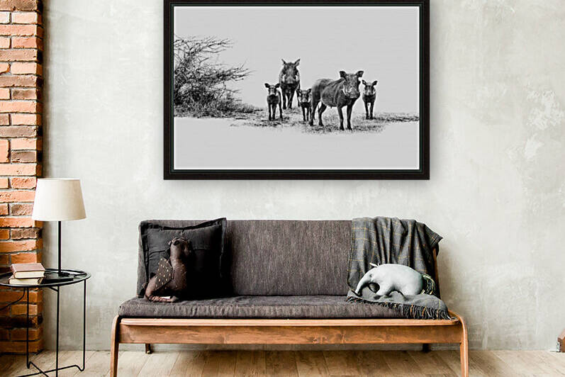 Warthog Family Portrait by Vision Quest Photography