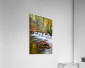  Whisper falls Acrylic Print
