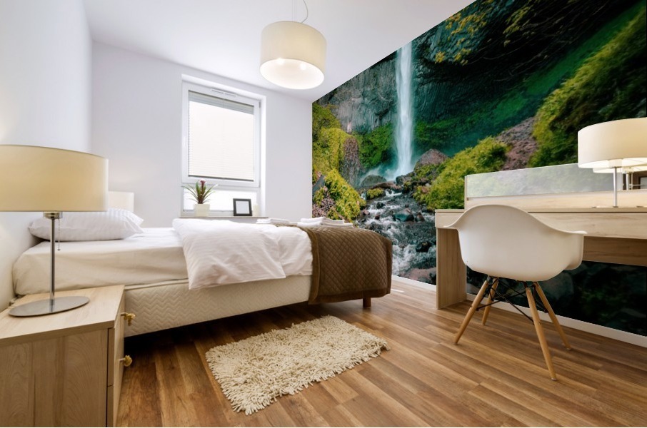 Hidden Falls Mural print
