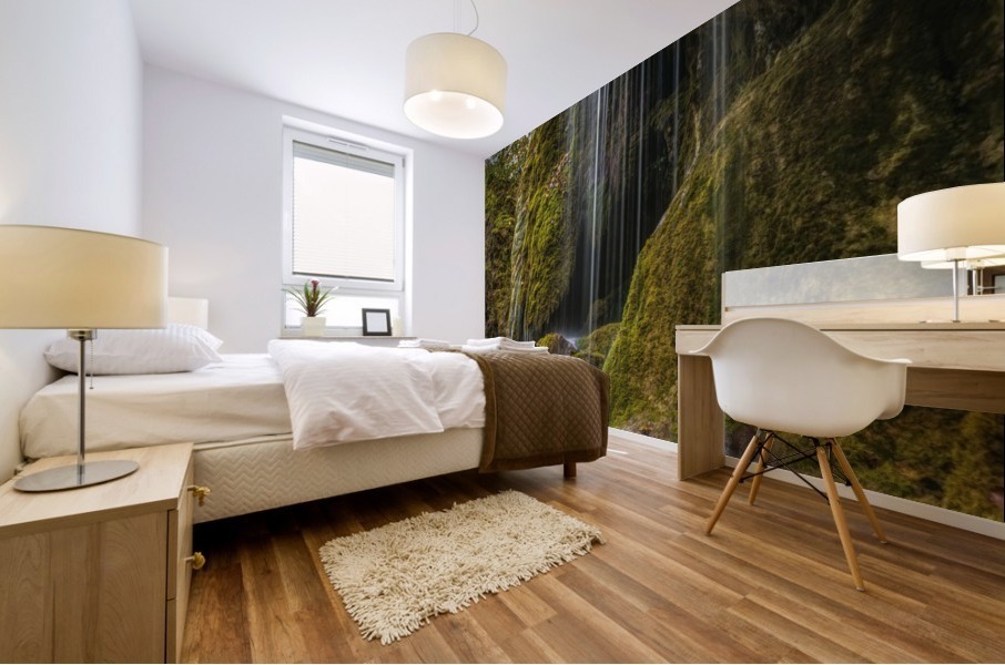 The Flow Mural print