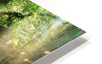 Misty Falls HD Metal print