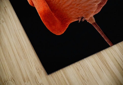 flamingo 0445 Dave Zeller puzzle