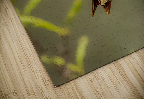 Ruby Throated Humming Bird 3364 Dave Zeller puzzle
