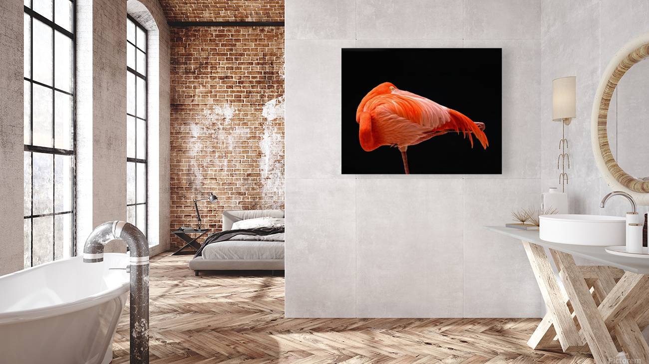 flamingo 0445 Reproduction