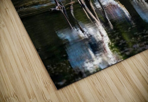 Storks  nana tchelidze puzzle
