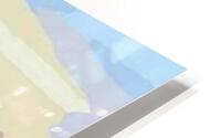Horses HD Metal print